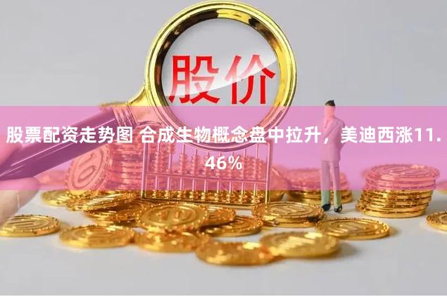 股票配资走势图 合成生物概念盘中拉升，美迪西涨11.46%