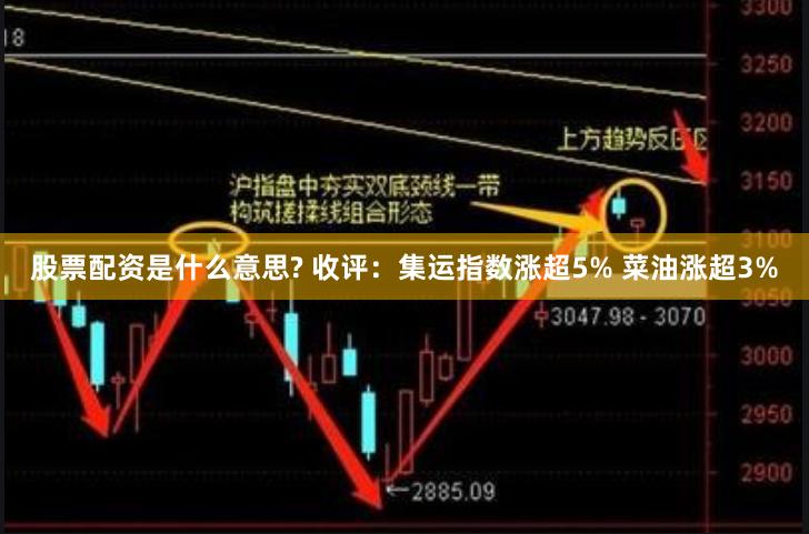 股票配资是什么意思? 收评：集运指数涨超5% 菜油涨超3%