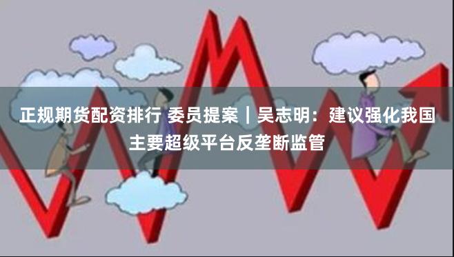 正规期货配资排行 委员提案｜吴志明：建议强化我国主要超级平台反垄断监管